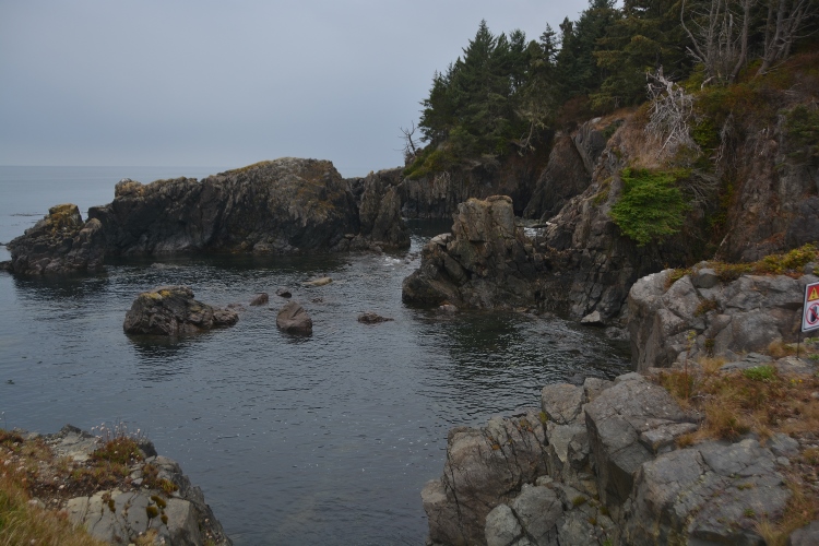 coastal rock